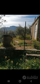 Casetta immersa nel verde