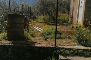 Casetta immersa nel verde