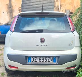  auto usata  punto evo