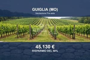 Immobile in asta di 56464 m² a Guiglia