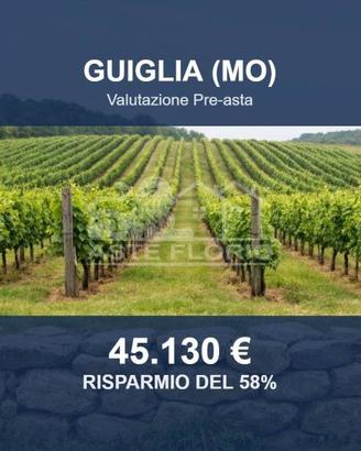 Immobile in asta di 56464 m² a Guiglia