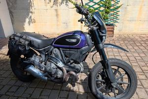 Ducati Scrambler 800 Icon