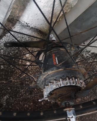 RUOTA SHIMANO NEXUS 7 VELOCITÀ 