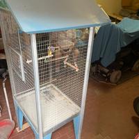 Gabbia per uccellini