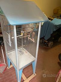 Gabbia per uccellini