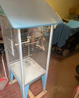 Gabbia per uccellini