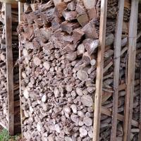 Legna da ardere asciutta