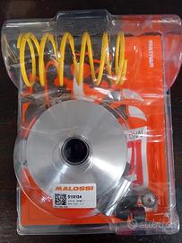 Variatore Yamaha X max 125