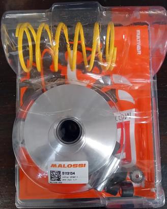 Variatore Yamaha X max 125