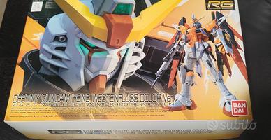 RG Destiny Gundam Heine Westenfluss Color Ver.