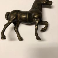 cavallino