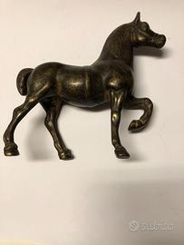 cavallino