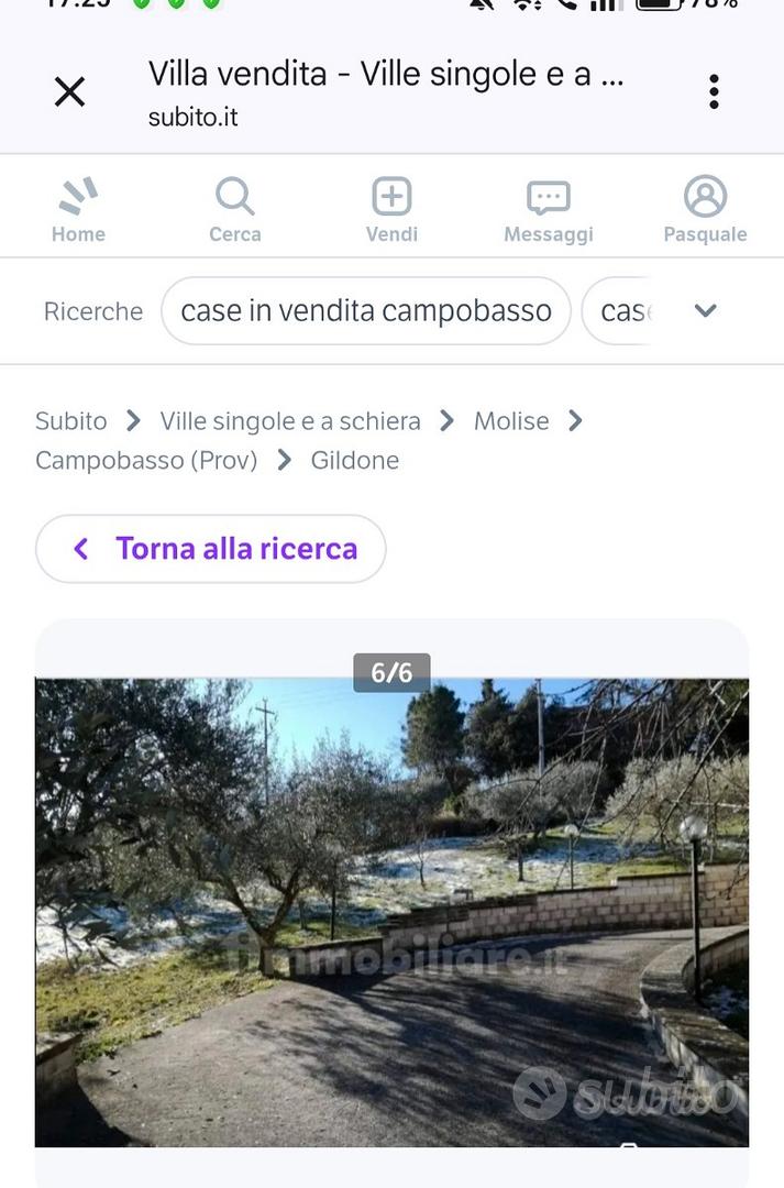 Terreno alberi ed altro - Vista 2