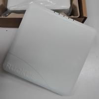 Access Point Rucus ZoneFlex R500
