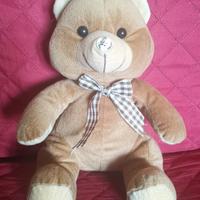 Peluche Orso - Teddy Bear