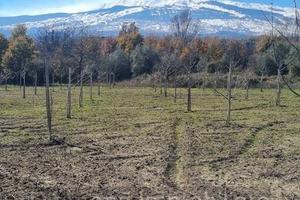 Terreno con rustico a Castiglione di Sicilia