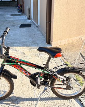 Bicicletta bimbo