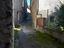 Immagine 11