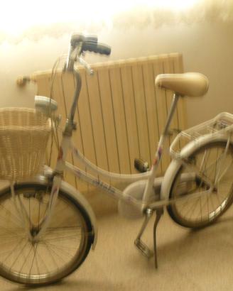 Bicicletta da 20"