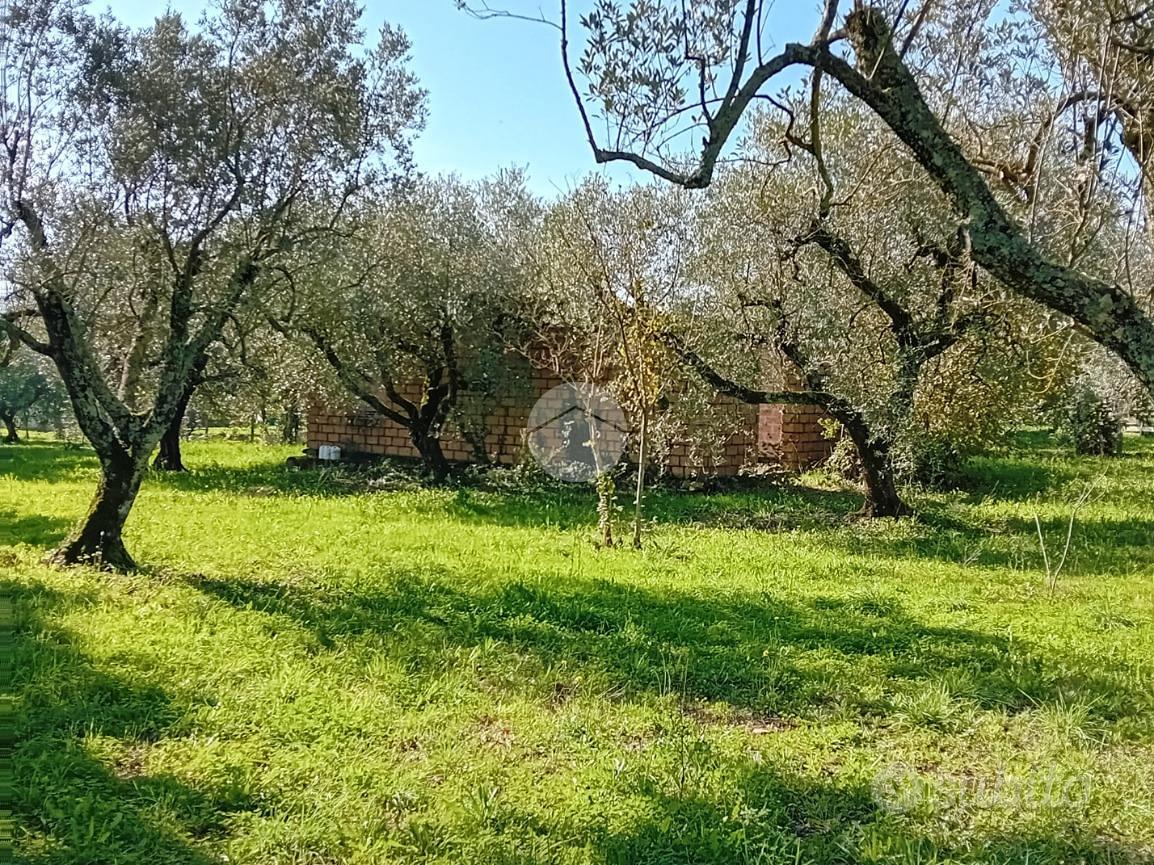 RUSTICO A CASTEL SANT'ELIA - Vista 3