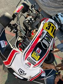 Altro Altro modello - 2023