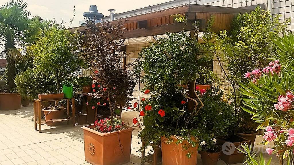 Appartamento – Settimo Milanese, Cascine Olona - Vista 2