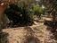 Immagine 29