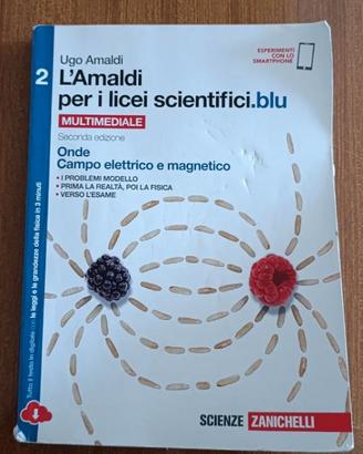 l'amaldi per licei scientifici blu 2