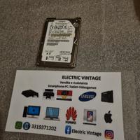 7631N-Hard Disk IDE 100GB PC Portatile