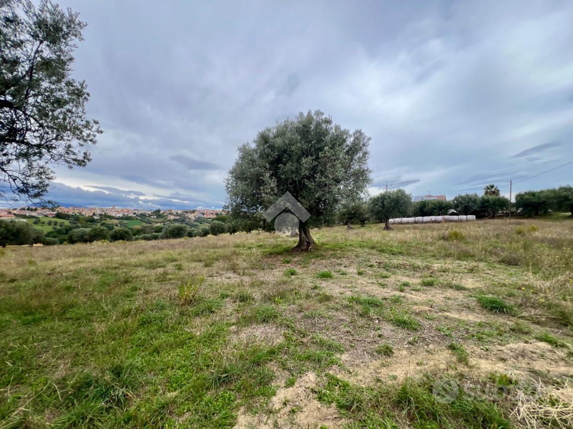 TER. AGRICOLO A MOSCIANO SANT'ANGELO - Vista 3