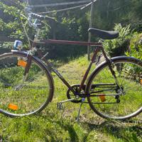 Bici Vintage Francesco Moser