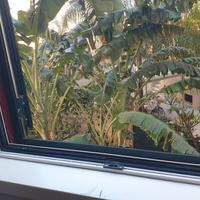 Camporeale Dante elegante esavani accetto permuta