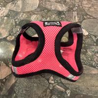 Pettorina cane piccola taglia