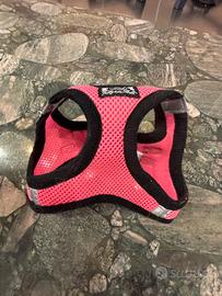 Pettorina cane piccola taglia