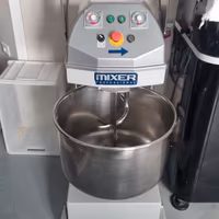 impastatrice professionale mixer