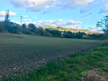 Terreno agricolo