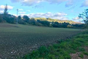 Terreno agricolo