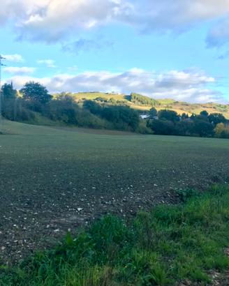 Terreno agricolo