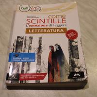 Come scintille Letteratura