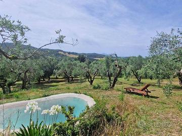 Rustico / Casale di 75 m² con 2 locali e box auto 