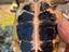 Immagine 4