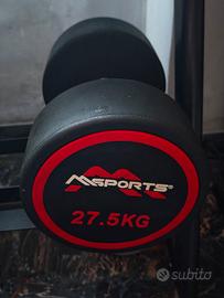 manubrio msports