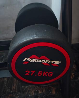 manubrio msports