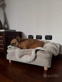 Cuccia Bolster in Memory Foam Omlet (taglia S)