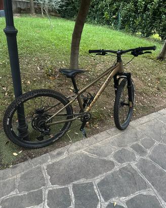 MTB Cube Reaction 240 TM 24”