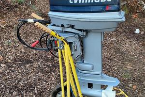 Motore Evinrude 35/35 cv