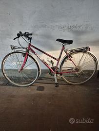 Bici city bike Torpado