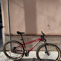 Single speed 29" Vassago - modello Jabberwocky