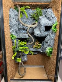 Terrario 25x25x50 preallestito
