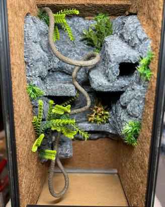 Terrario 25x25x50 preallestito